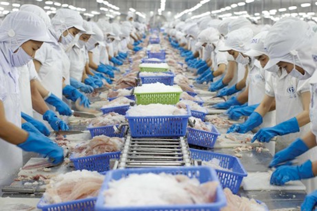 Công ty CP Thủy sản Số 4 thua lỗ nặng nhất sàn chứng khoán trong quý I/2023.