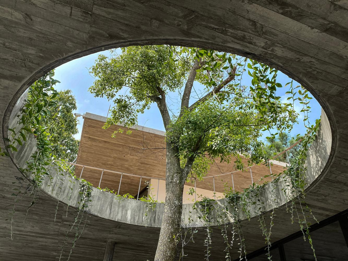 Trong quá trình xây dựng ngôi nhà này, hầu hết rừng thông từ trước vẫn còn nguyên vẹn, bởi cấu trúc của ngôi nhà trải ra theo các hướng khác nhau, nên vẫn chừa chỗ cho những cây thông phát triển.