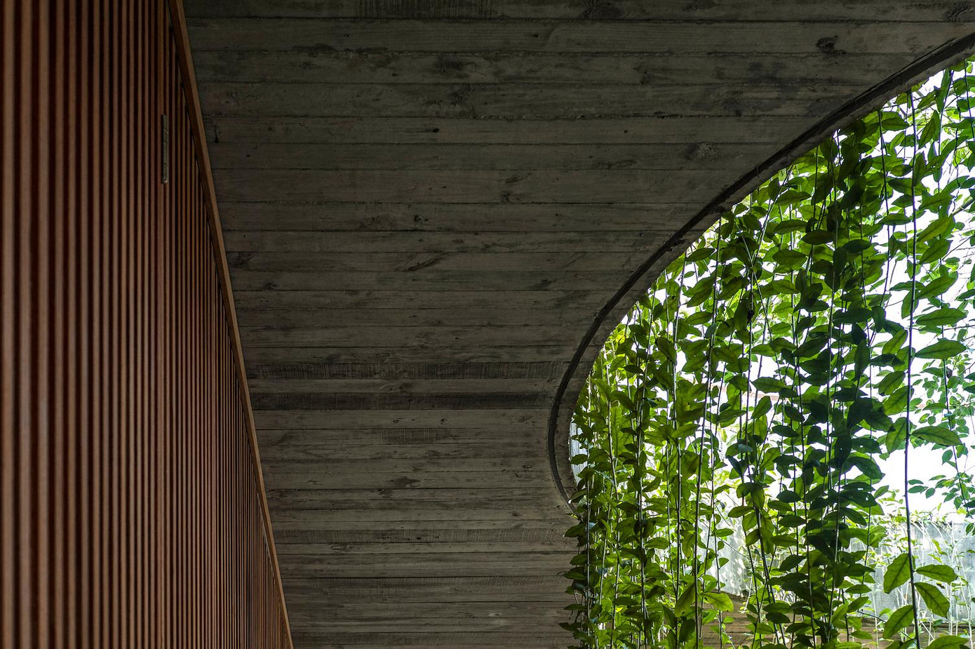 Công trình đặc biệt vì cấu trúc mái tinh vi của nó vượt ra ngoài hệ thống kết cấu mang lại cho tòa nhà một diện mạo tái định nghĩa về trọng lực.