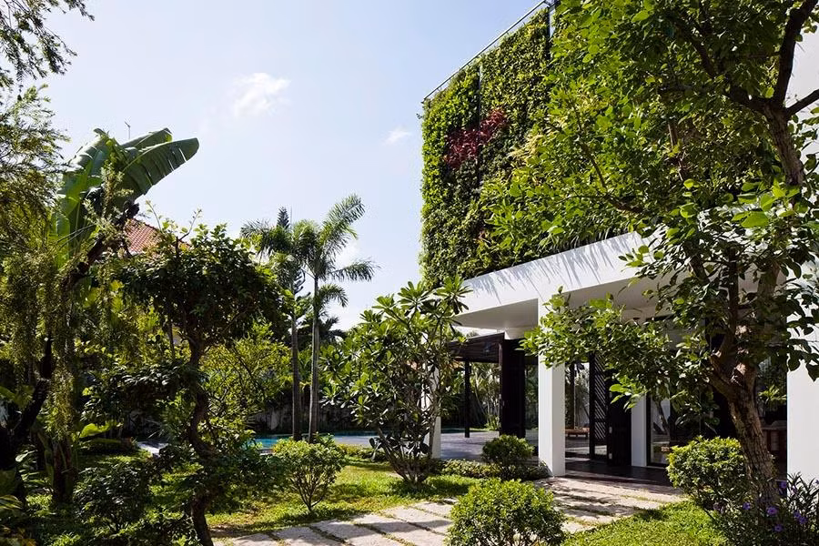 Không gian sân vườn của biệt thự trông như resort.