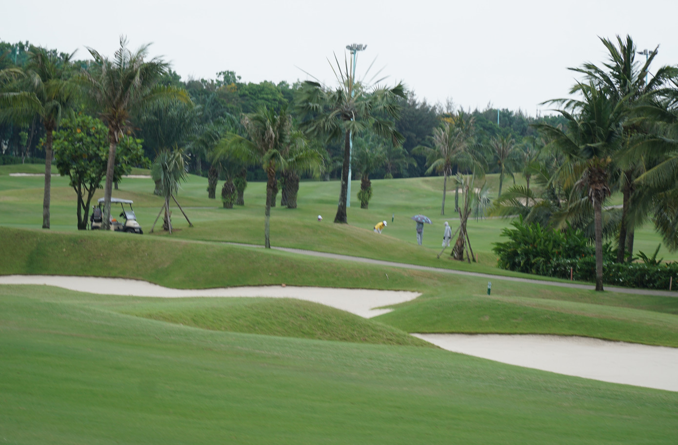 Dù giữa trưa các golfter vẫn miệt mài