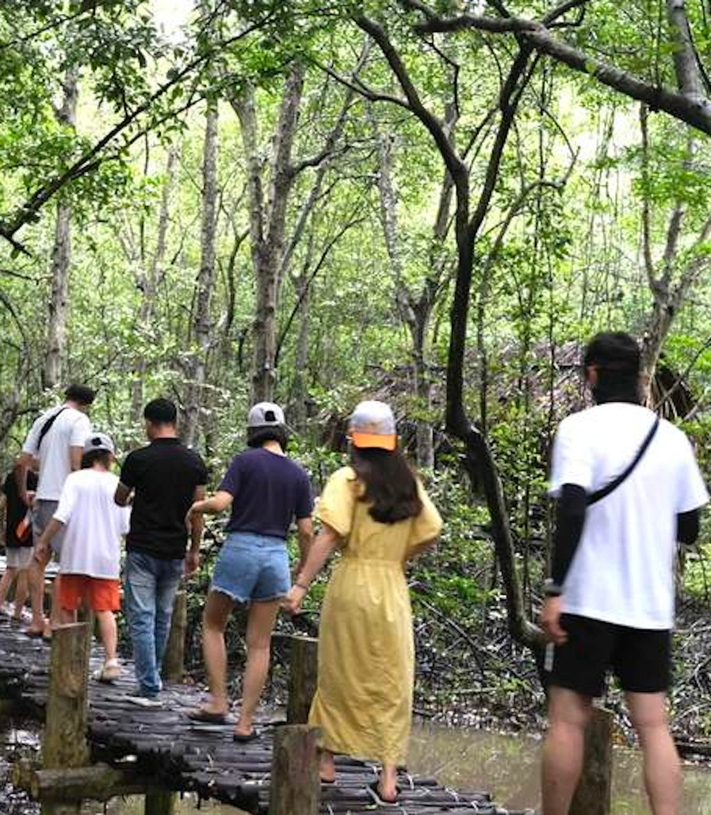 Du khách đi thăm Chiến khu rừng Sác, Cần Giờ