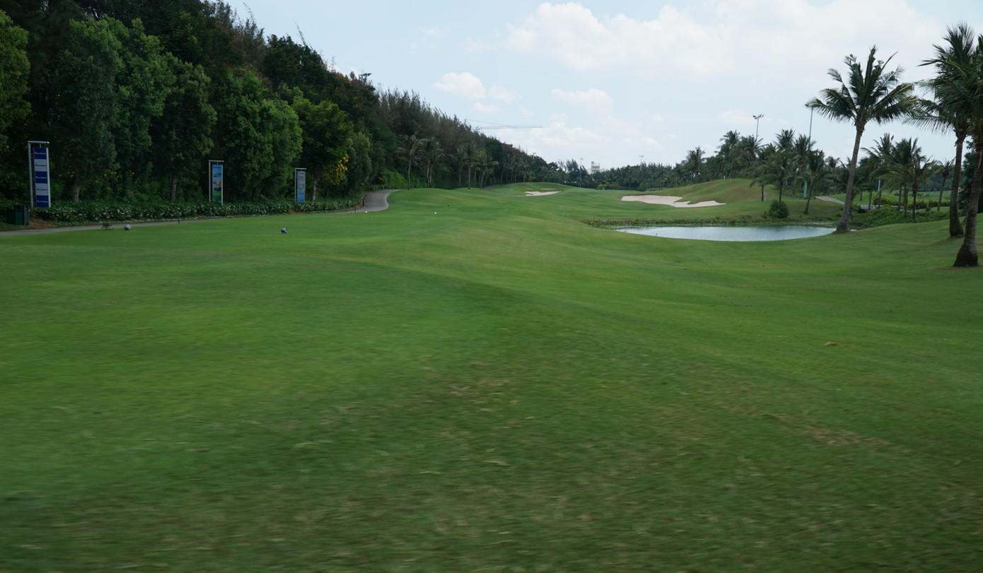 Những cánh rừng và thảm cỏ xanh ngút ngàn