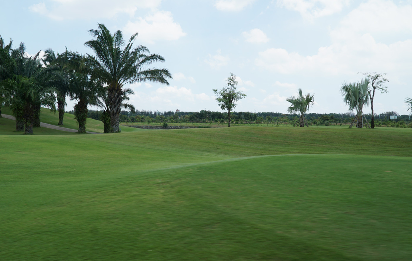 Dù giữa trưa nắng nhưng bên trong sân vẫn mát xanh bởi cây cỏ