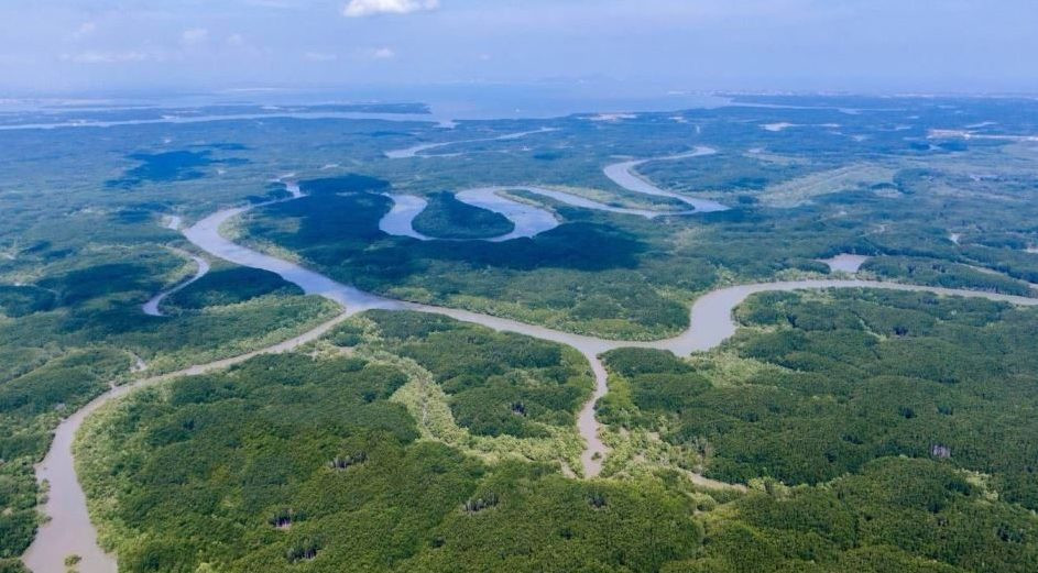 Khu dự trữ sinh quyển thế giới Cần Giờ nhìn từ trên cao
