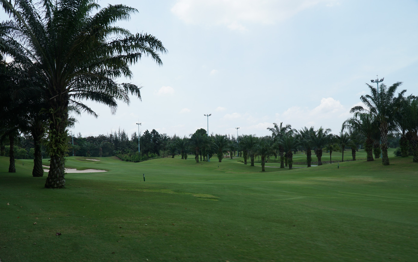 Một màu xanh bất tận đến ngút ngàn