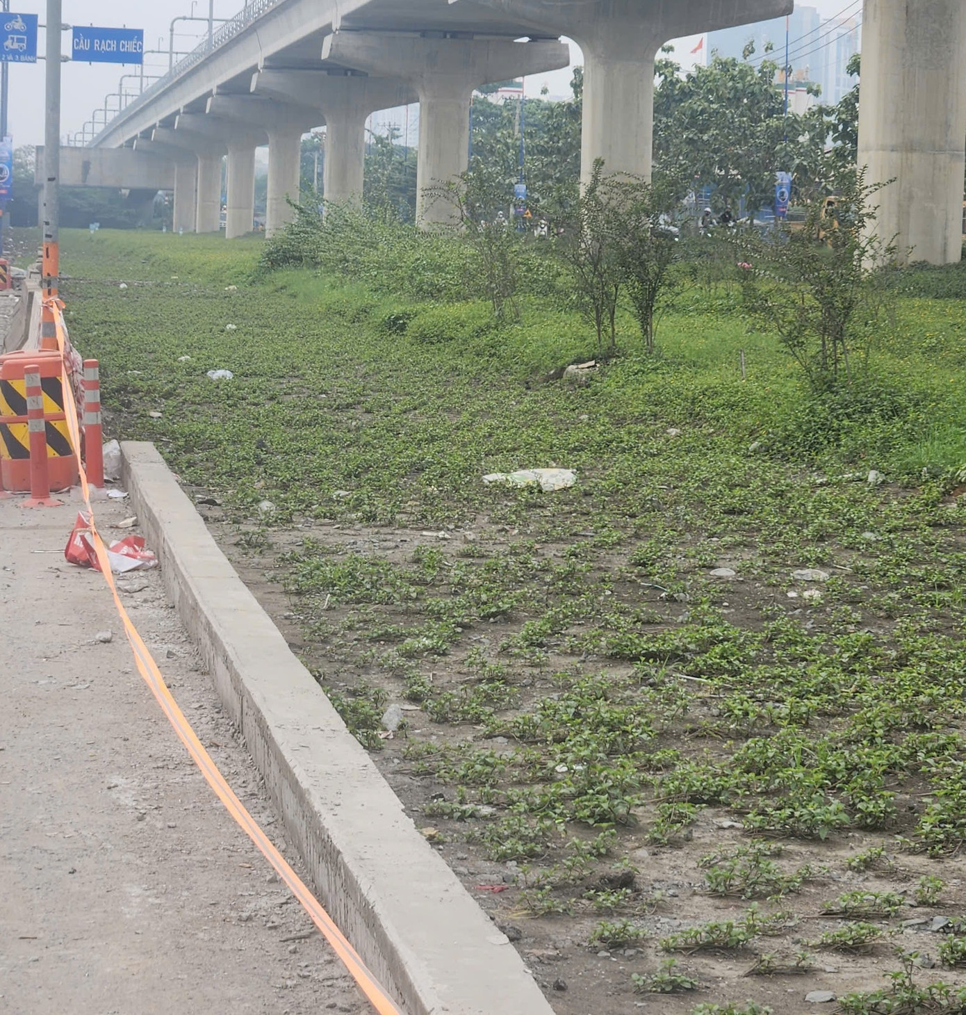 Và những thảm cỏ đã dần hình thành