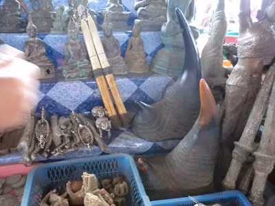 Sừng tê giác tại một kho mỹ nghệ