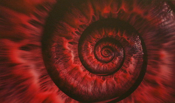 'Back to real life" - Đặng Kim Cương. 'Back to real life