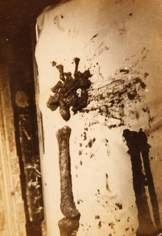 Hài cốt tìm thấy trong quan tài. Ảnh: Ảnh tư liệu của Đỗ Đình Truật Hài cốt tìm thấy trong quan tài