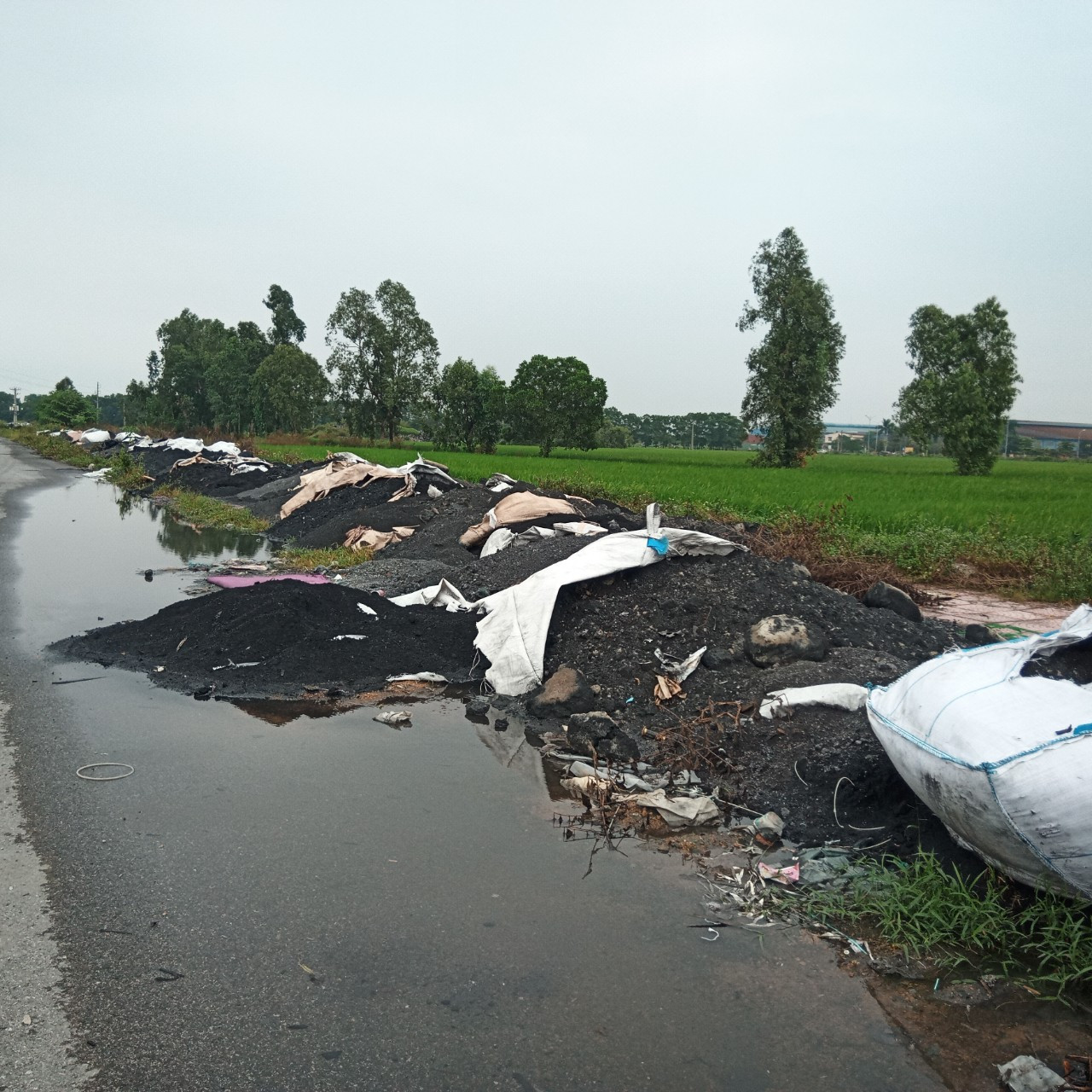 Rác thải ngổn ngang trên con đường trải nhựa.