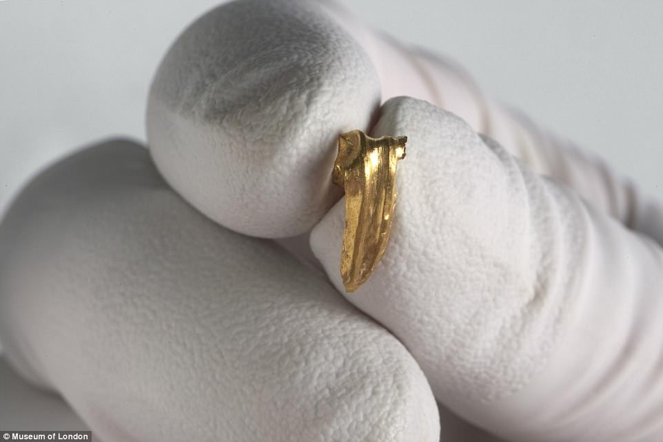 Ngoài những mẩu xương nhỏ, các nhà khảo cổ còn tìm thấy một vài mảnh vàng có thể là khuyên tai và một viên đá quý được khắc hình ảnh châm biếm.