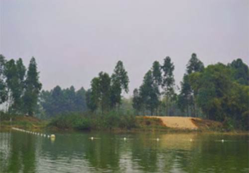 Vùng cấm đánh cá nhỏ nằm sát khu vực bãi đẻ trứng rùa mới được xây dựng nhằm giảm thiểu các tác động và ảnh hưởng lên rùa khi lên bờ đẻ phơi nắng hoạc đẻ trứng. Ảnh: Nguyễn Tài Thắng - ATP