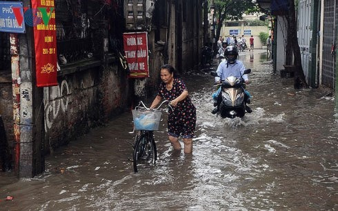 ha noi bo tay voi thuc trang ung ngap hinh 2