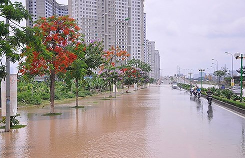 ha noi bo tay voi thuc trang ung ngap hinh 4