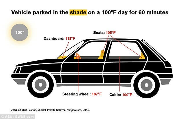 Xe hơi để ngoài trời nắng nóng có thể gây chết người trong vòng 1 giờ ảnh 1
