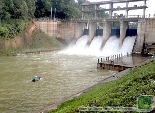 Đập thủy lợi hồ Đồng mô mở cửa xả lũ lần đầu tiên. Lưu lượng nước chảy qua đập có thể lên tới 28m3/giây. Dòng nước chảy ra đập có thể dẫn dụ rùa tới khu vực cửa xả và bị mắc kẹt ở đó