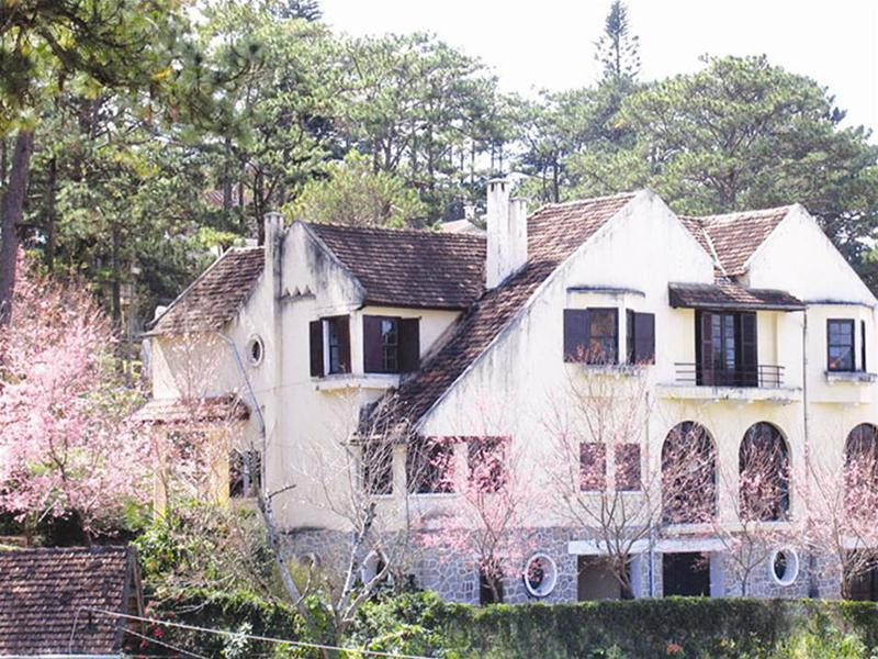 Biệt thự cổ hồng rực sắc hoa đào