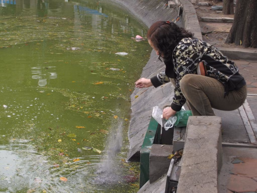 Có người đổ cả tro vàng mã đã hóa xuống hồ gây ô nhiễm