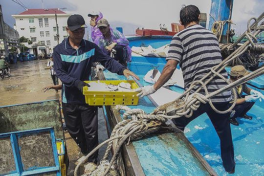 Ba tỉnh Đông Nam Bộ lên phương án ứng phó bão số 9 ảnh 2