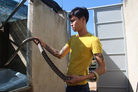 Vào lãnh địa của hàng ngàn con rắn ảnh 1