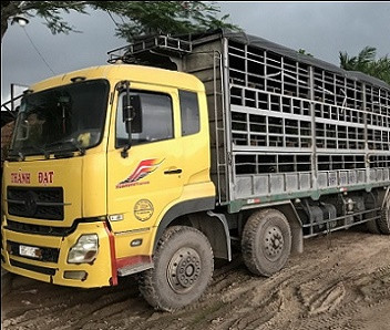  Bị phát hiện bơm nước vào heo, hàng chục người leo rào bỏ trốn ảnh 1