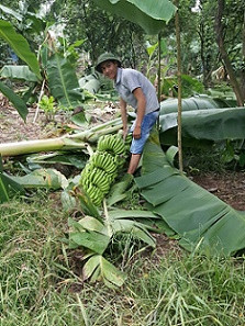  Cận cảnh hàng rào điện ngăn voi quậy phá ở Đồng Nai ảnh 8