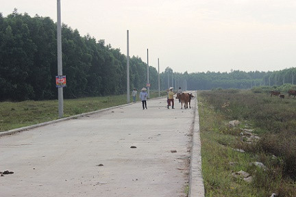 Đồng Nai cảnh báo bẫy dự án 'chui' của địa ốc Alibaba ảnh 1