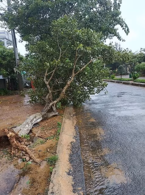 Bão số 9 tiến gần đảo Phú Quý gây mưa lớn, Bình Thuận sẵn sàng ứng phó ảnh 2