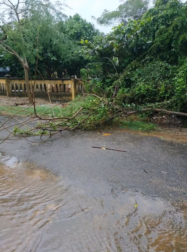 Bão số 9 tiến gần đảo Phú Quý gây mưa lớn, Bình Thuận sẵn sàng ứng phó ảnh 5