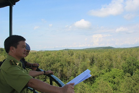  Cận cảnh hàng rào điện ngăn voi quậy phá ở Đồng Nai ảnh 4