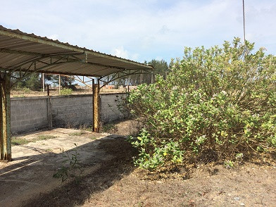 Hàng loạt dự án 'ôm đất' rồi bỏ hoang ở Bà Rịa- Vũng Tàu ảnh 3