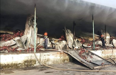  Kho chứa 260 tấn thanh long bốc cháy trong đêm ảnh 1