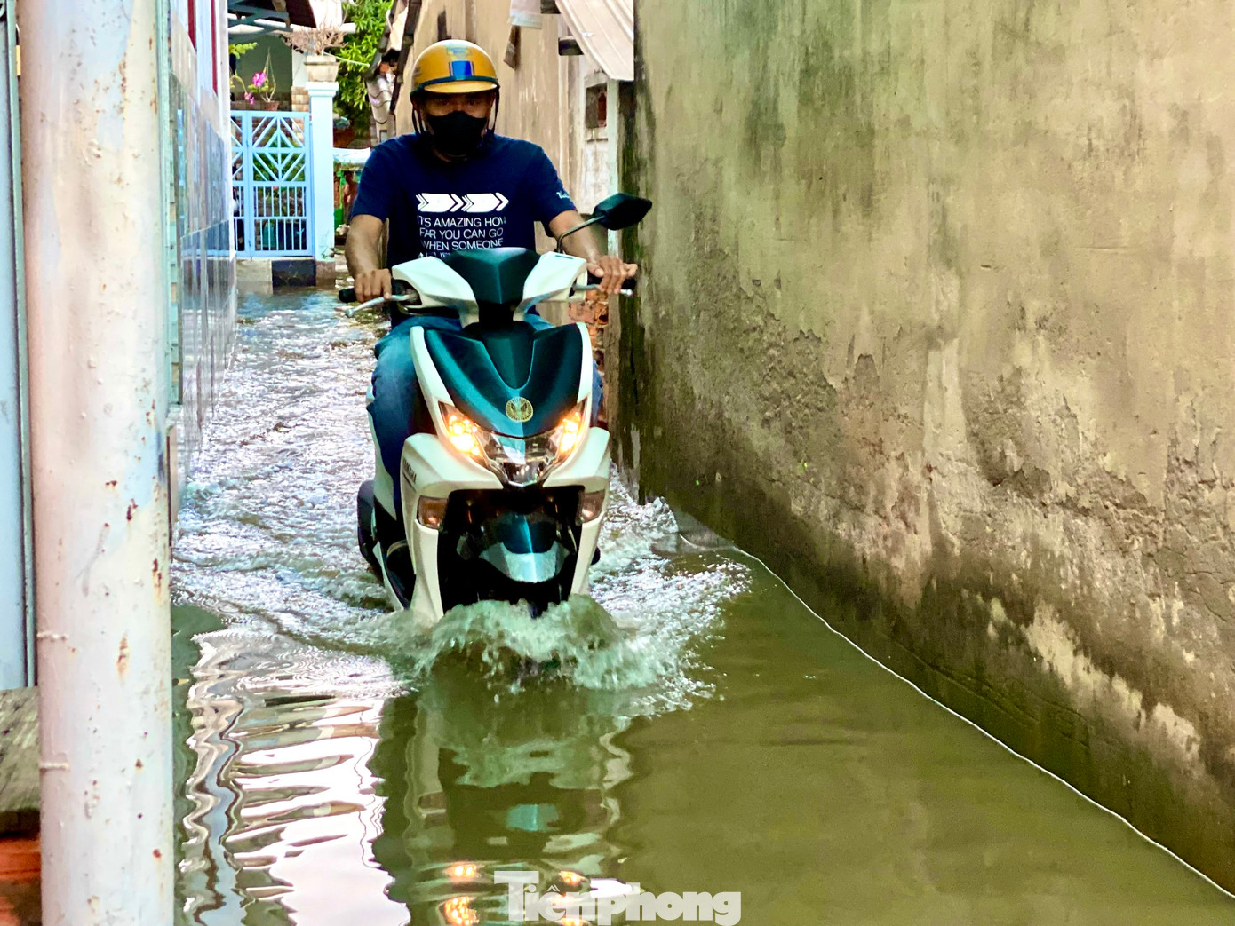 Một số tuyến đường hẻm tại khu vực này cũng mênh mông nước.