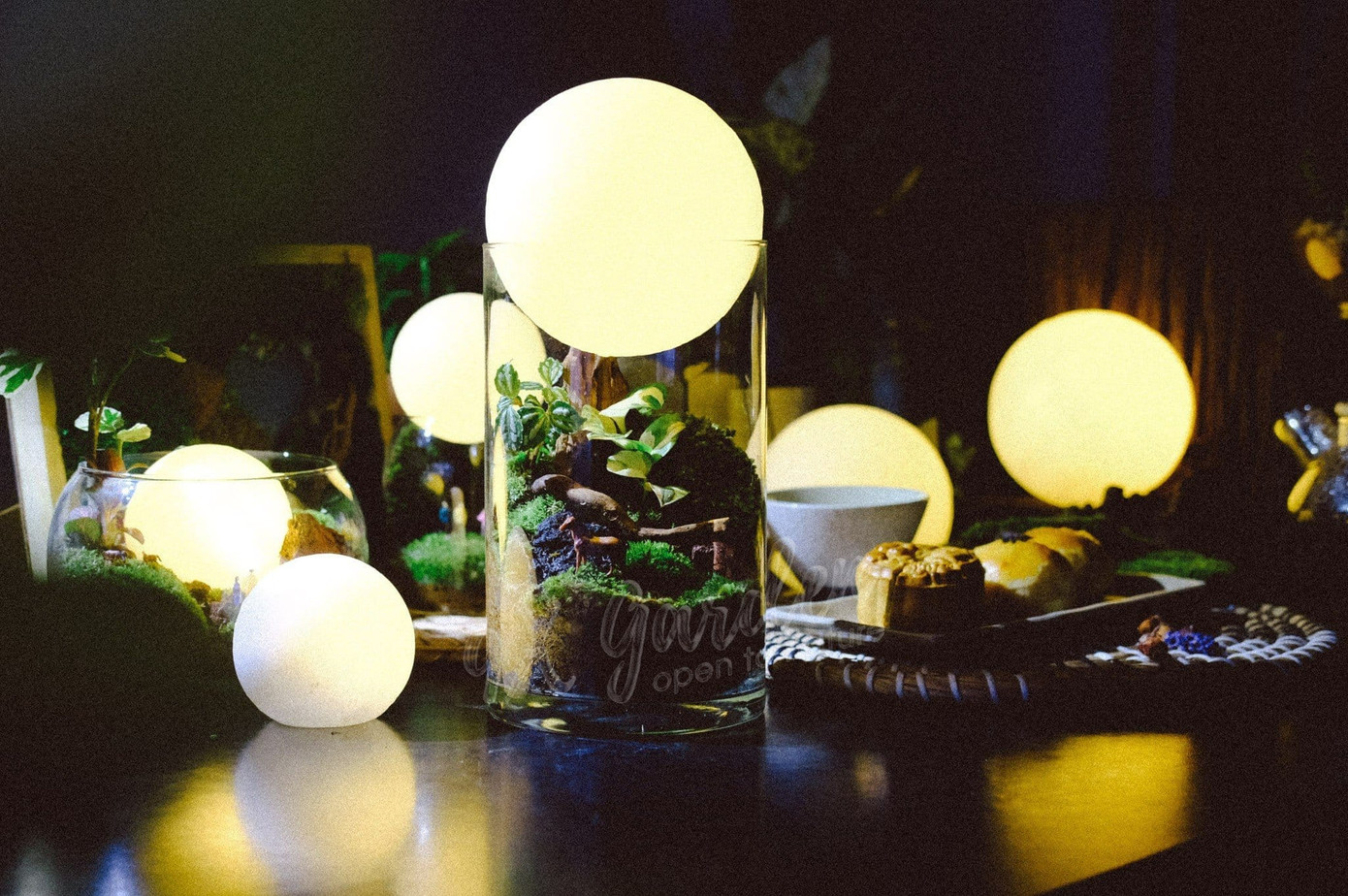 Thành quả sau khi tham gia workshop Terrarium. Ảnh: 9X Garden Thành quả sau khi tham gia workshop Terrarium. Ảnh: 9X Garden