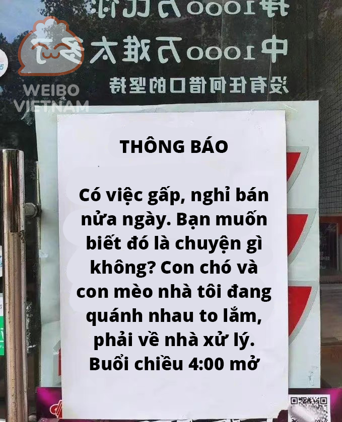 Lý do này chỉ hội yêu thú cưng mới hiểu.