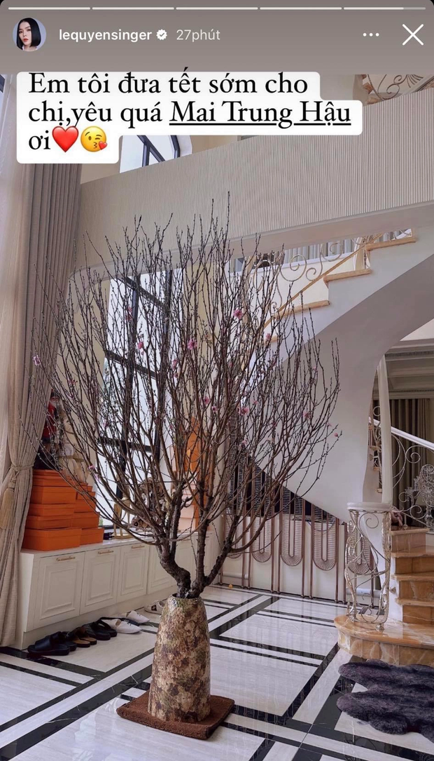 Ca sĩ Lệ Quyên được tặng đào cỡ "khủng" dịp Tết.