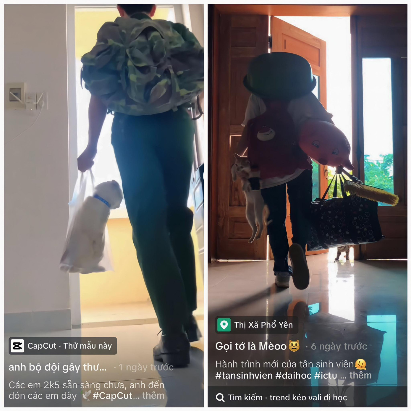 Ước mơ to và nặng đến mấy cũng phải mang theo bé mèo. Nguồn: @_laznh.20_; @anh.bodoi_ Ước mơ to và nặng đến mấy cũng phải mang theo bé mèo. Nguồn: @_laznh.20_; @anh.bodoi_