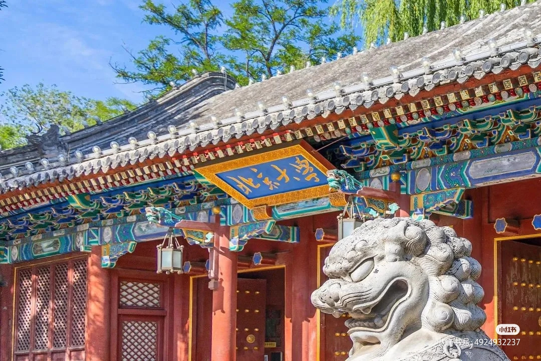 Bắc Đại là niềm mơ ước của nhiều sĩ tử trong và ngoài nước. Nguồn: Xiaohongshu Bắc Đại là niềm mơ ước của nhiều sĩ tử trong và ngoài nước. Nguồn: Xiaohongshu