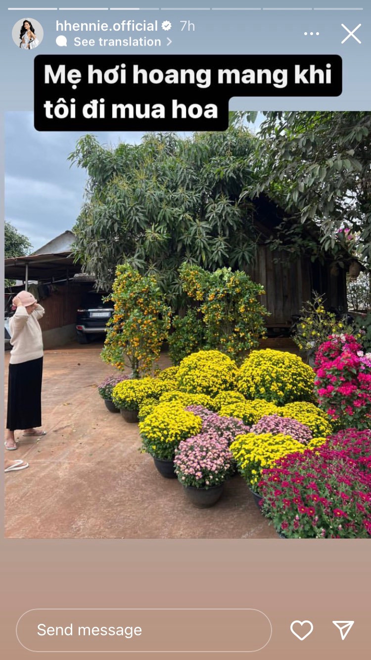 Nàng hậu như mang cả chợ hoa Tết về nhà khiến mẹ "hoang mang".