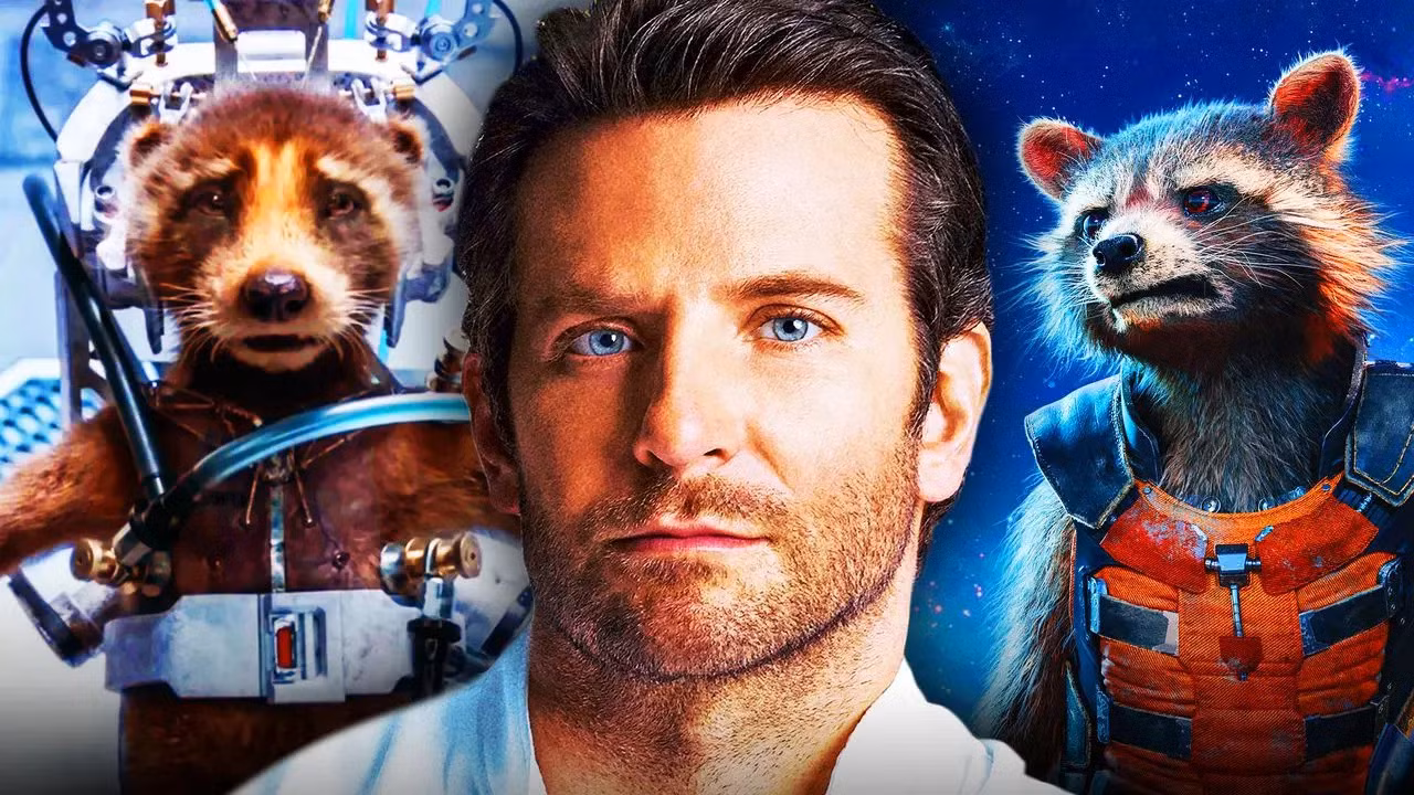 Nam diễn viên Bradley Cooper, lồng tiếng cho gấu mèo Rocket.