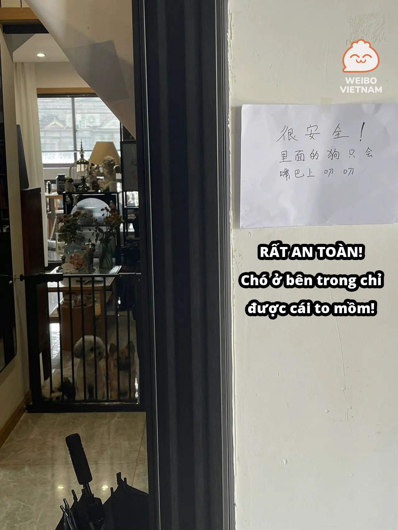 Chỉ là giấy note thôi mà có cần tấu hài đến vậy không? Nguồn: Weibo Việt Nam Chỉ là giấy note thôi mà có cần tấu hài đến vậy không? Nguồn: Weibo Việt Nam