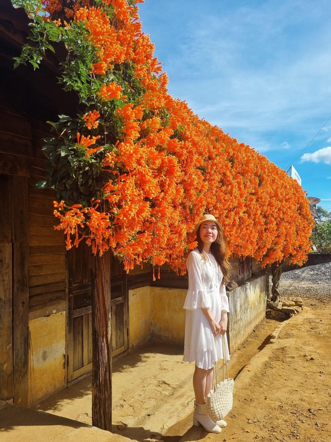 Background "đẹp như tranh" cho bạn thỏa sức "chụp choẹt". Ảnh: Kim Ngân Bùi