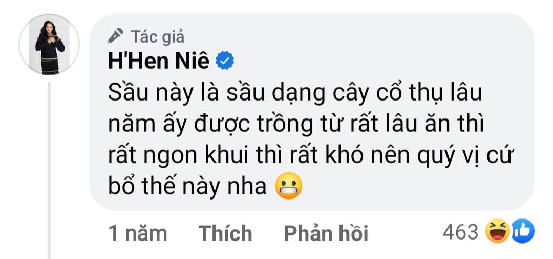 H'Hen Niê lý giải về sự sáng tạo của bản thân. H'Hen Niê lý giải về sự sáng tạo của bản thân.