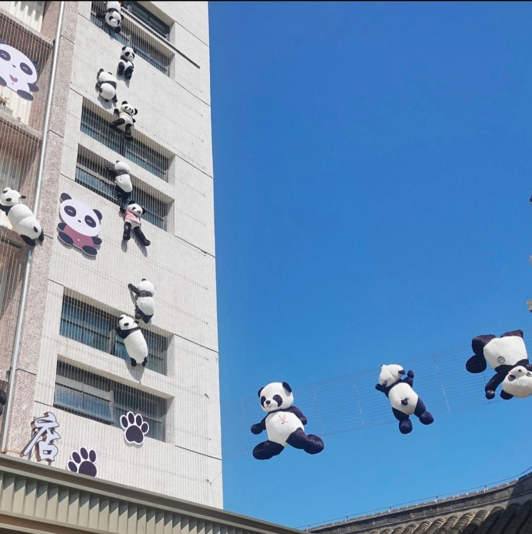 Gấu trúc lơ lửng giữa trời xanh khiến netizen thích thú. Nguồn: @chinadailynews