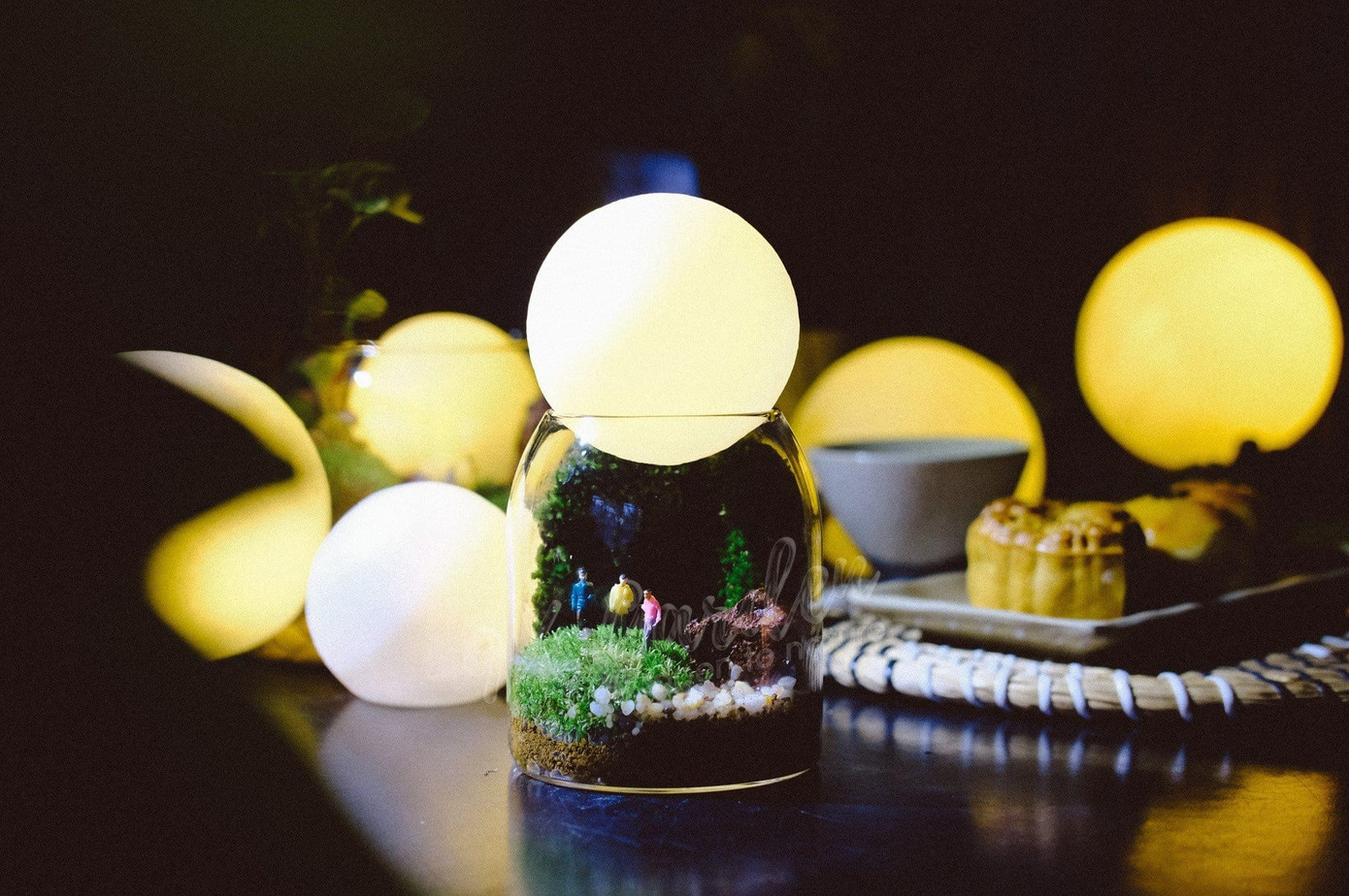 Workshop dành cho teen yêu thiên nhiên. - Ảnh: 9X Garden Workshop dành cho teen yêu thiên nhiên. - Ảnh: 9X Garden