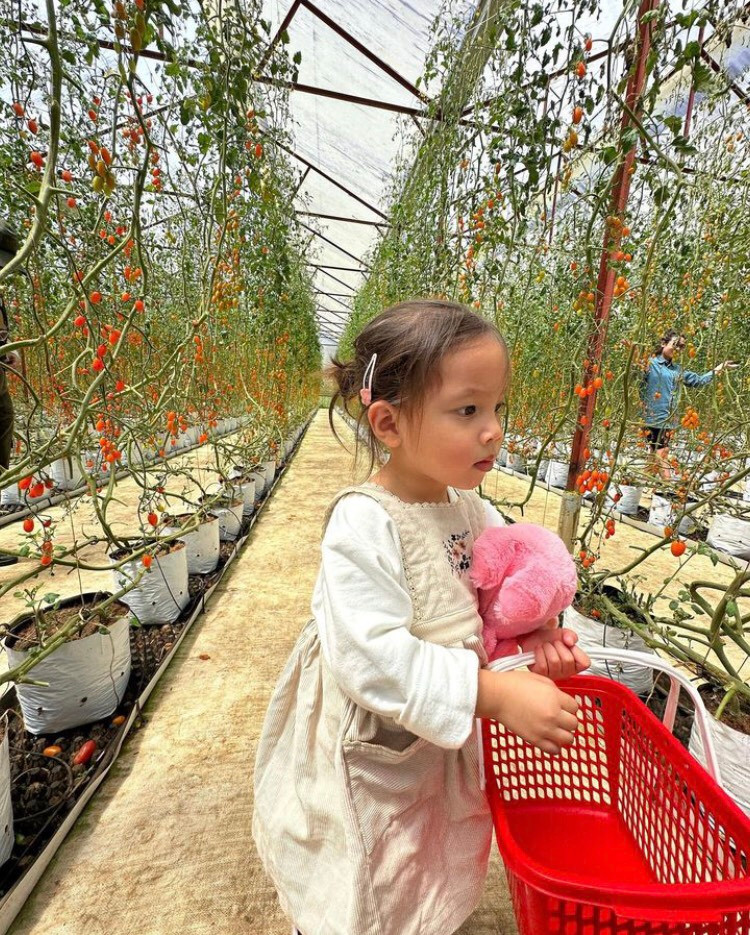 Càng lớn, Lisa càng sở hữu nhiều đường nét xinh xắn. Càng lớn, Lisa càng sở hữu nhiều đường nét xinh xắn.