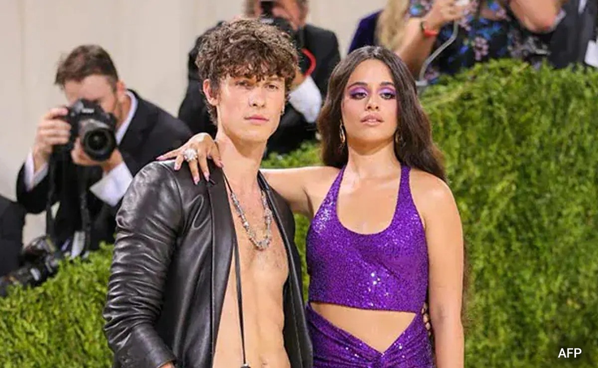 Shawn Mendes và Camila Cabello là cặp đôi nghệ sĩ US&amp;UK được fan Việt yêu thích.