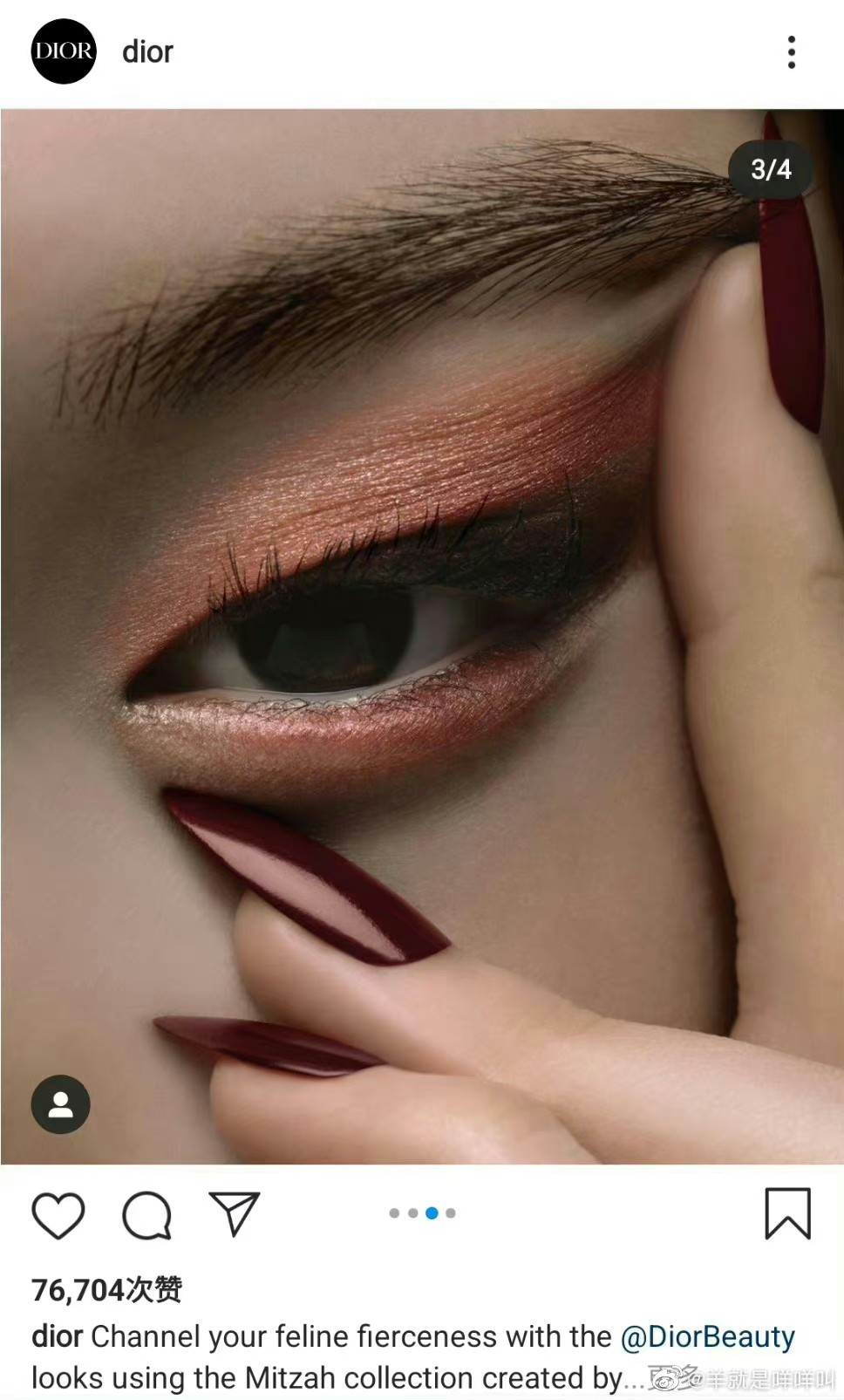 Bức hình gây tranh cãi.