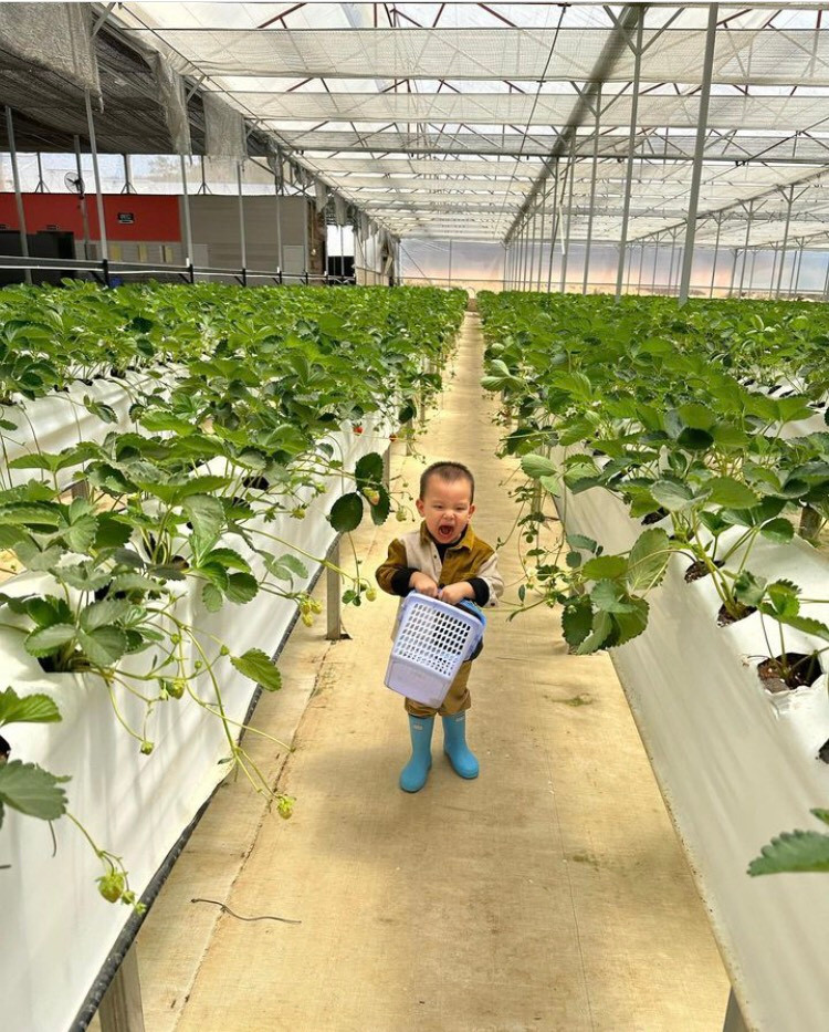 Biểu cảm đáng yêu của cậu bé Leon khiến cư dân mạng cười ngất. Biểu cảm đáng yêu của cậu bé Leon khiến cư dân mạng cười ngất.